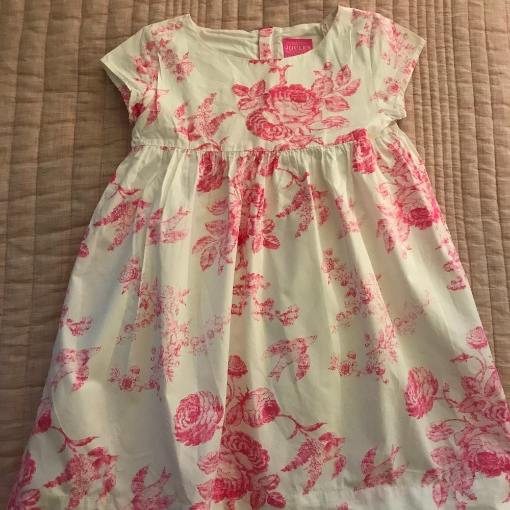 Hot Pink Toile Garden Party Dress